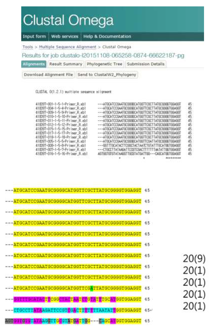 Shigella flexneri에 대한 5 panning의 phage single DNA 서열 분석; (A) sequences multi-alignment, (B)major sequences와 sequence 공통 빈도수