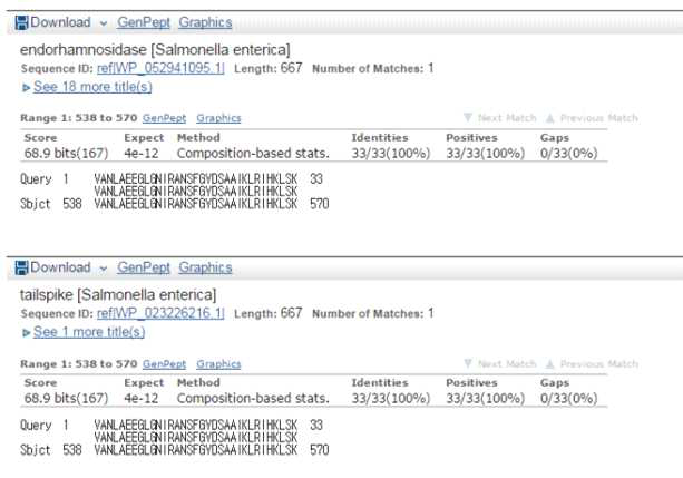 Cpl-7 domain과 P22 tailspike protein과의 blast 결과