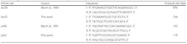Oligonucleotide primers used for multiplex PCR amplification