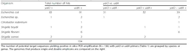 Comparison of expected uidA and yaiO PCR products by Primer-BLAST analysis