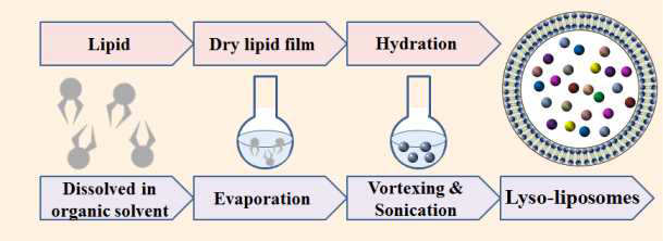 수화 방법을 통한 리포좀 제조 방법