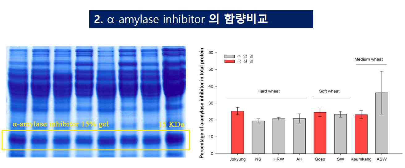 국산밀과 수입밀에 함유된 글리아딘(⍺-amylase inhibitor) 함량 비교