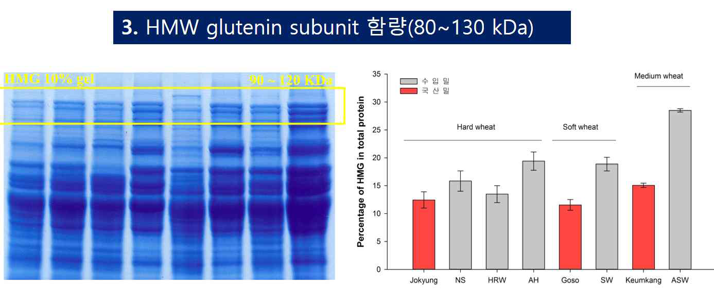 국산밀과 수입밀에 함유된 고분자 글루테닌(HMW-GS) 함량 비교