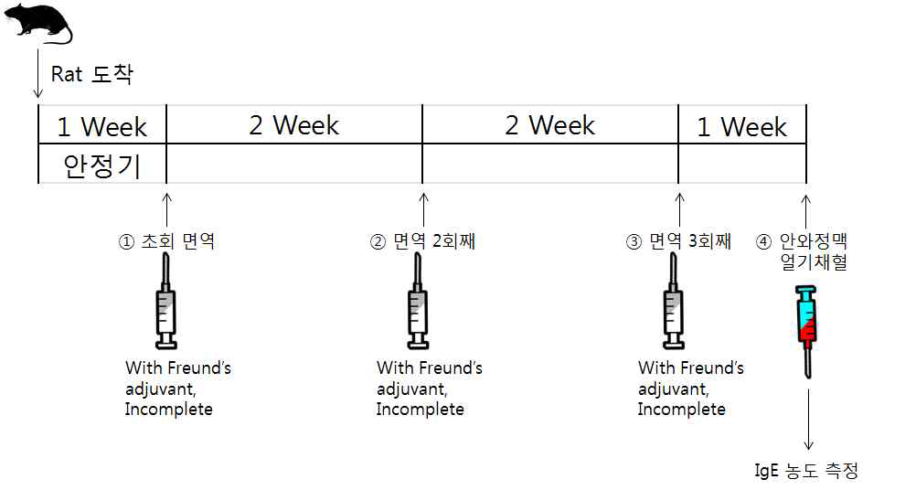 C3H/HeJ mice로부터 IgE를 유발시키기 위한 protocol