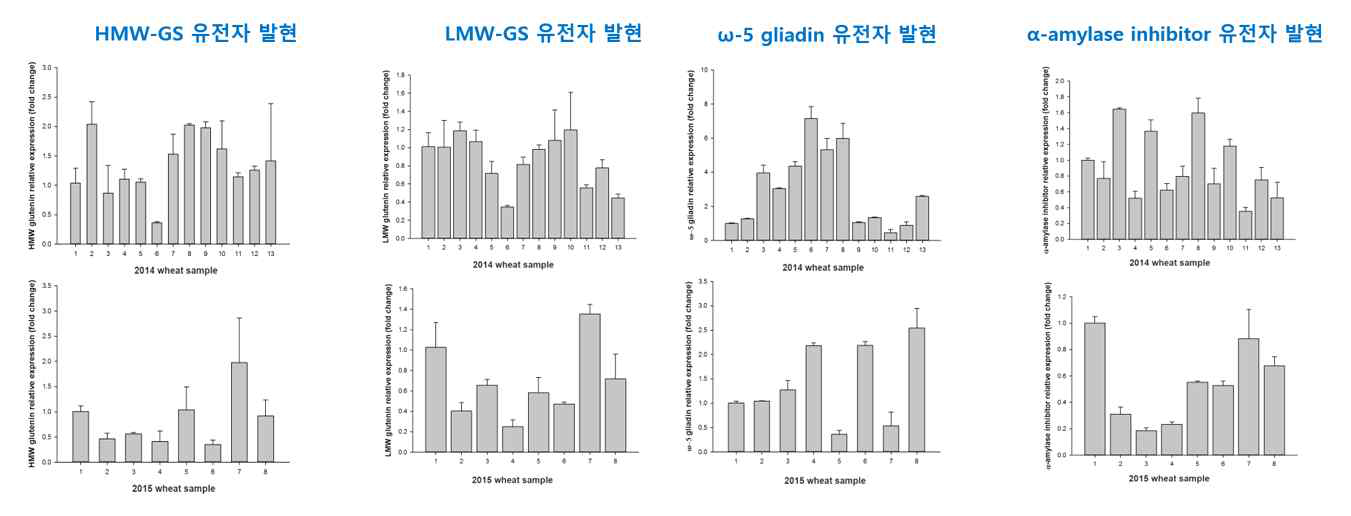 총 21개 발아된 원곡에 존재하는 HMW-GS, LMW-GS, ⍹-5-gliadin 및 a-amylase inhibitor 유전자 발현정도 비교