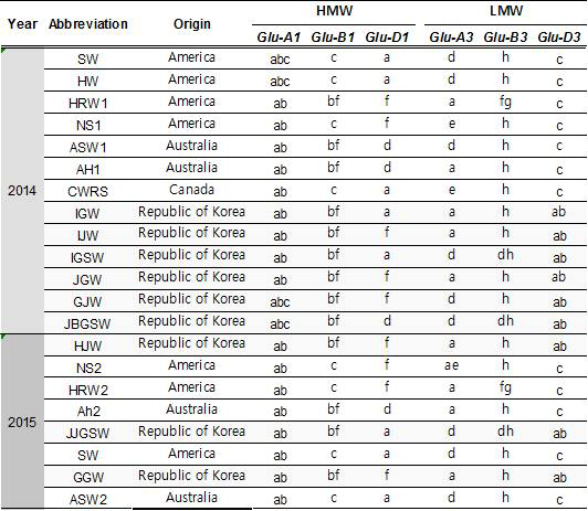 글루텐 allele 결과 정리