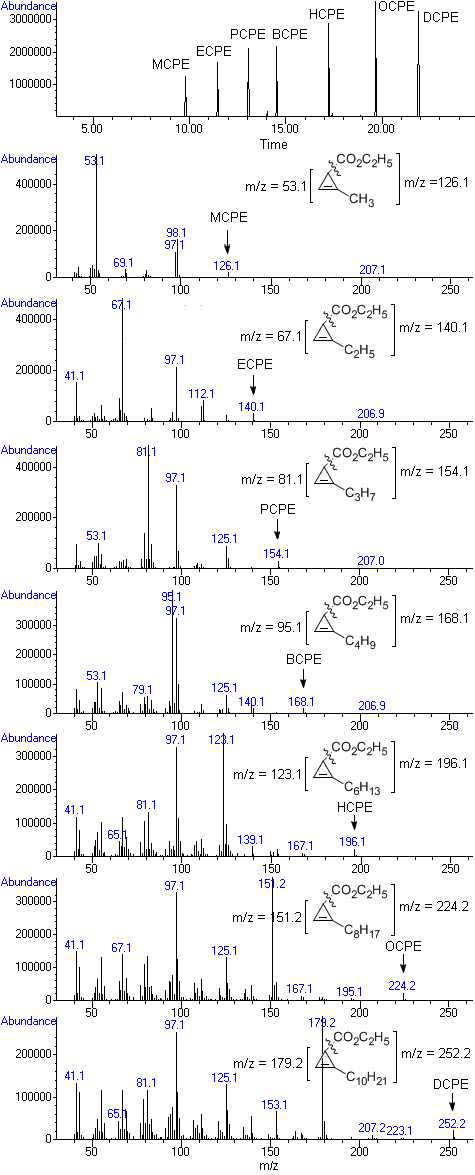 합성한 alkyl CPE의 mass spectrum
