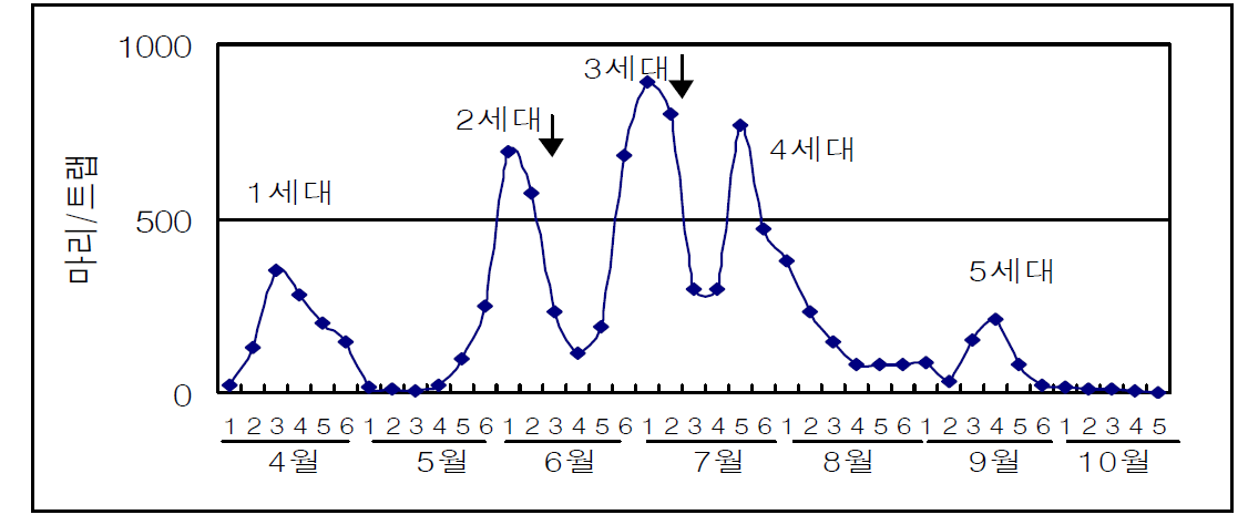 사과원내 사과굴나방 발생소장