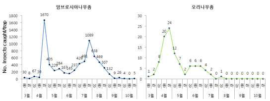 유인트랩을 이용한 사과원 나무좀류 시기별 발생소장