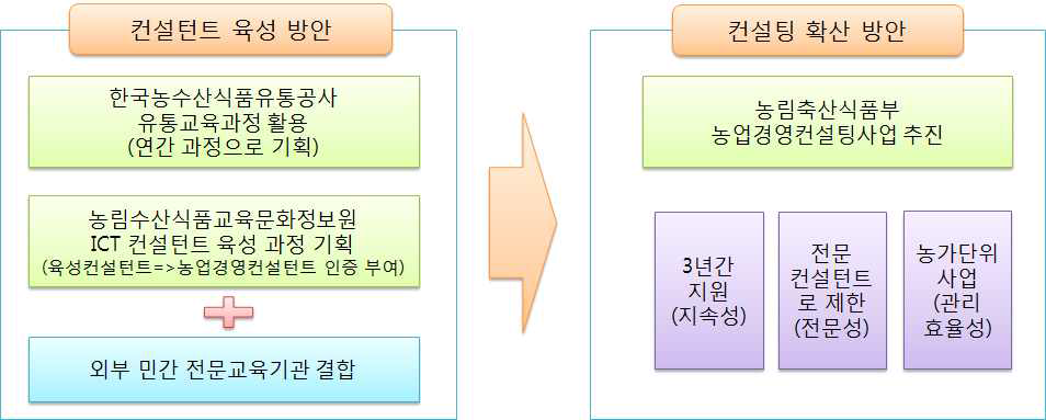 컨설팅 육성 방안 개요도