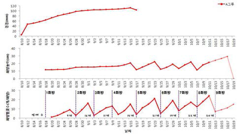 시기별 생육과 꽃수의 관계