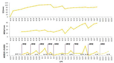 시기별 생육과 꽃수의 관계