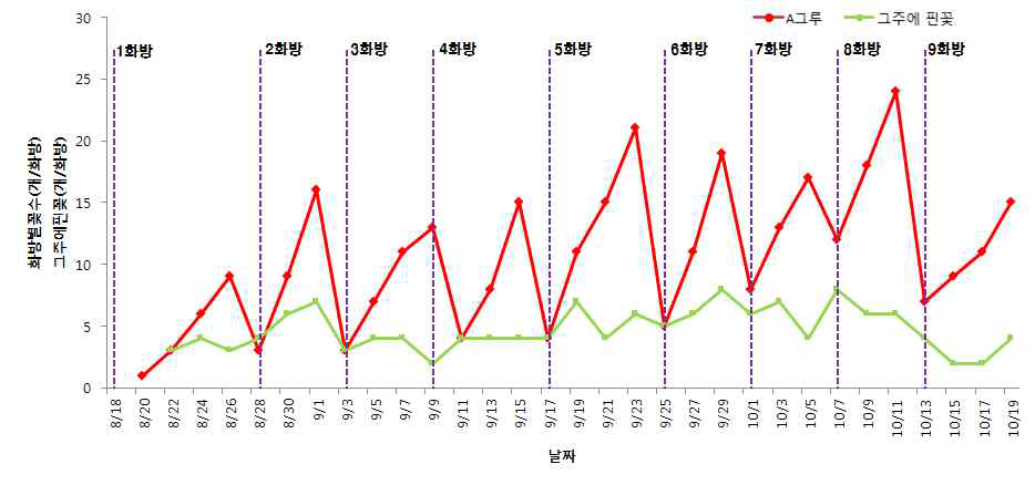 화방꽃수와 그 주에 핀꽃의 변화