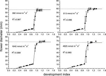 Results of a flower growth experiment at different irradiation levels and fitting of a model to the data.