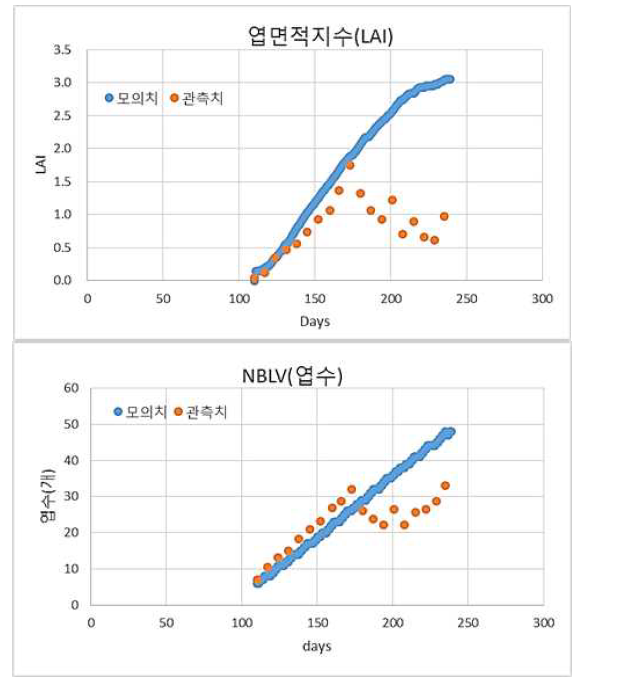 엽면적지수(LAI), 엽수(NBLV)에 대한 모델 모의치와 관측치 비교