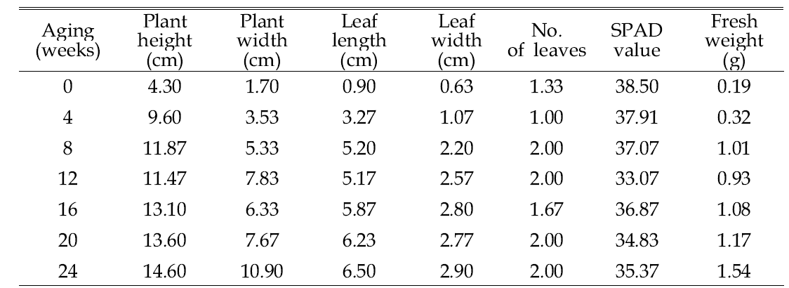 Growth characteristics of radish 3 weeks after sowing in 105-plug trays as influenced by various aging durations of coir dust.