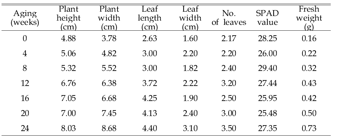 Growth characteristics of cabbage 3 weeks after sowing in 105-plug trays as influenced by various aging durations of coir dust.