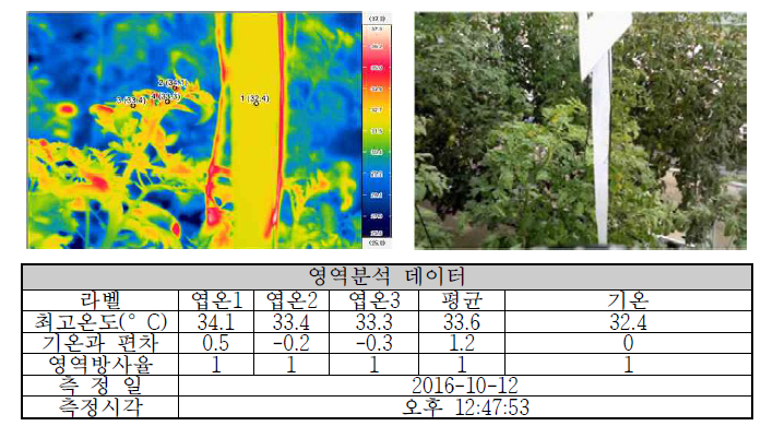 EC 3.5dS/m 처리시 신초엽 엽온분포