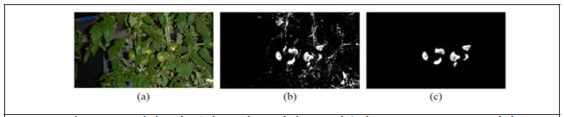 HSV색정보와 문양, 모양, 크기정보를 이용한 pixel segmentation 결과