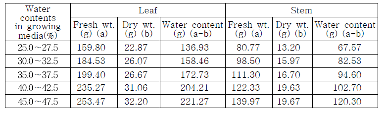 Effects of water contents in growing media on leaf and stem growth of tomato plants grown in hydroponics.