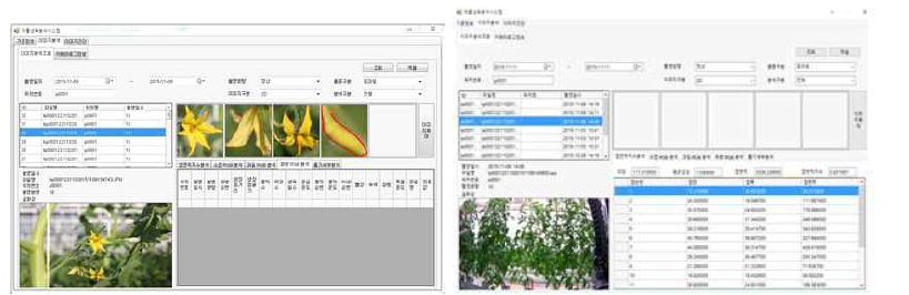 토마토 이미지를 이용한 생육 측정 및 분석프로그램 출력