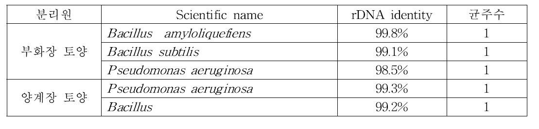 분리균주의 16S r DNA를 이용한 동정