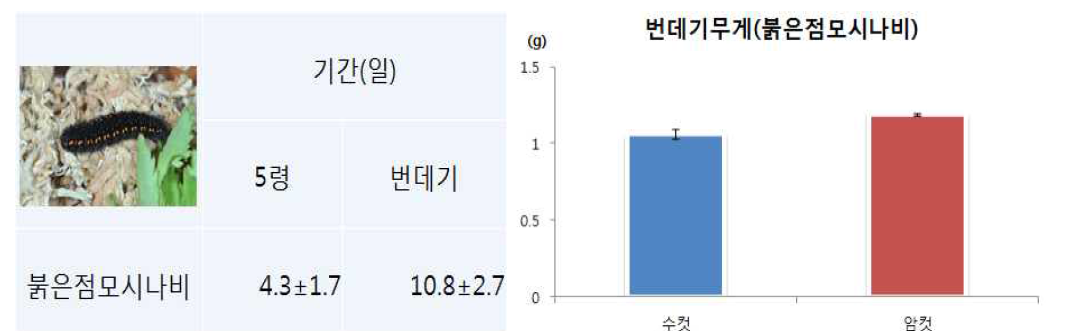 붉은점모시나비 기주식물에 의한 발육특성 분석