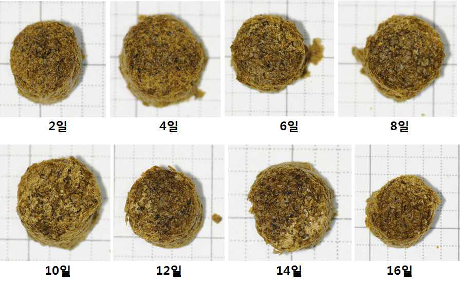 붉은점모시나비 펠렛사료의 공극율 변화 비교