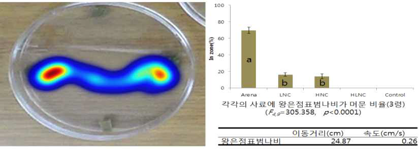 왕은점표범나비 3령 유충 선호성 비교(왼쪽: Heatmap분석, 오른쪽: 행동)