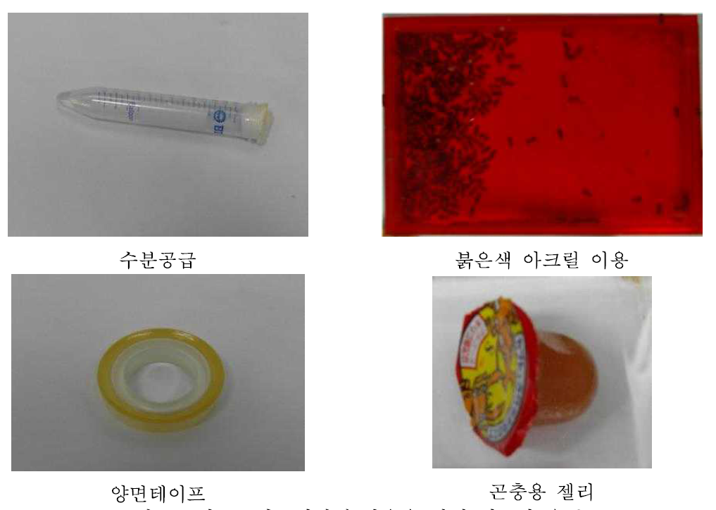 마쓰무라꼬리치레 사육을 위해 필요한 용품