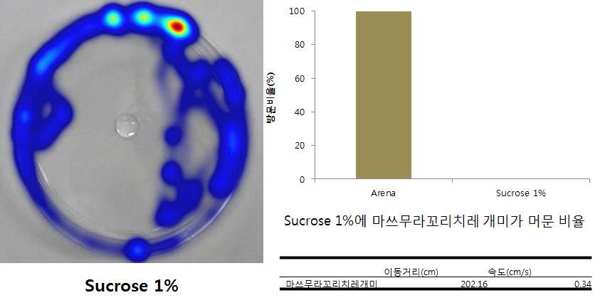 마쓰무라꼬리치레개미의 Sucrose 1%에서의 행동특성 분석