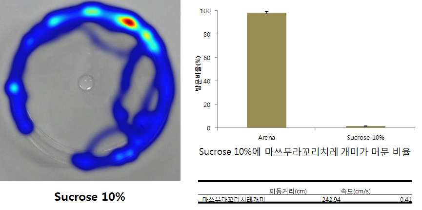 마쓰무라꼬리치레개미의 Sucrose 10%에서의 행동특성 분석