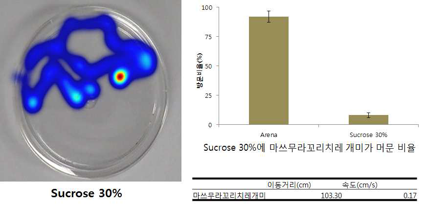 마쓰무라꼬리치레개미의 Sucrose 30%에서의 행동특성 분석