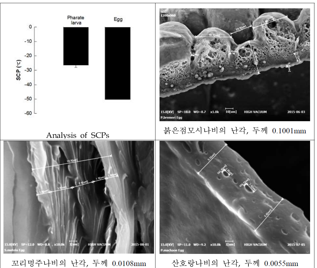 현미경으로 관찰한 알의 특성