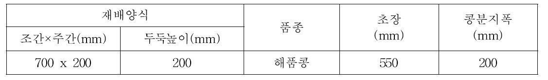 시작기 시험포장 및 작물조건