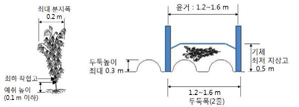 시작기 예취 및 주행부 설계조건 개략도