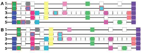 Comparison of alignments of the same i-ADHoRe profile consisting of three (duplicated) Arabidopsis thaliana and two (duplicated) rice (Oryza sativa) genomic segments.