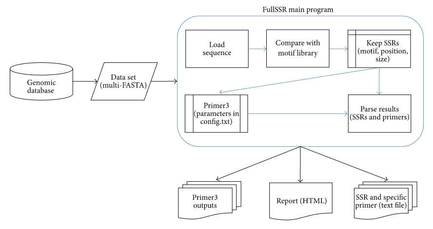 FullSSR Flowchart