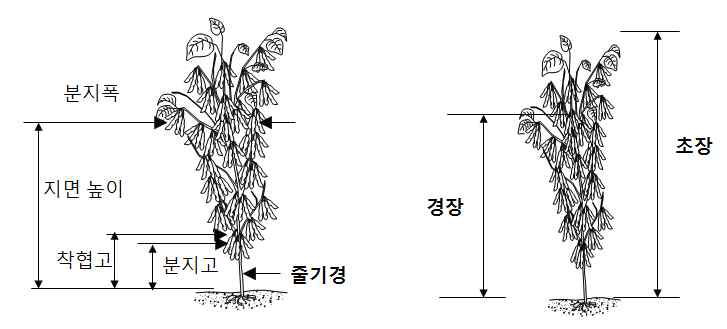 조사방법