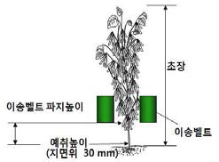 파지높이 확대