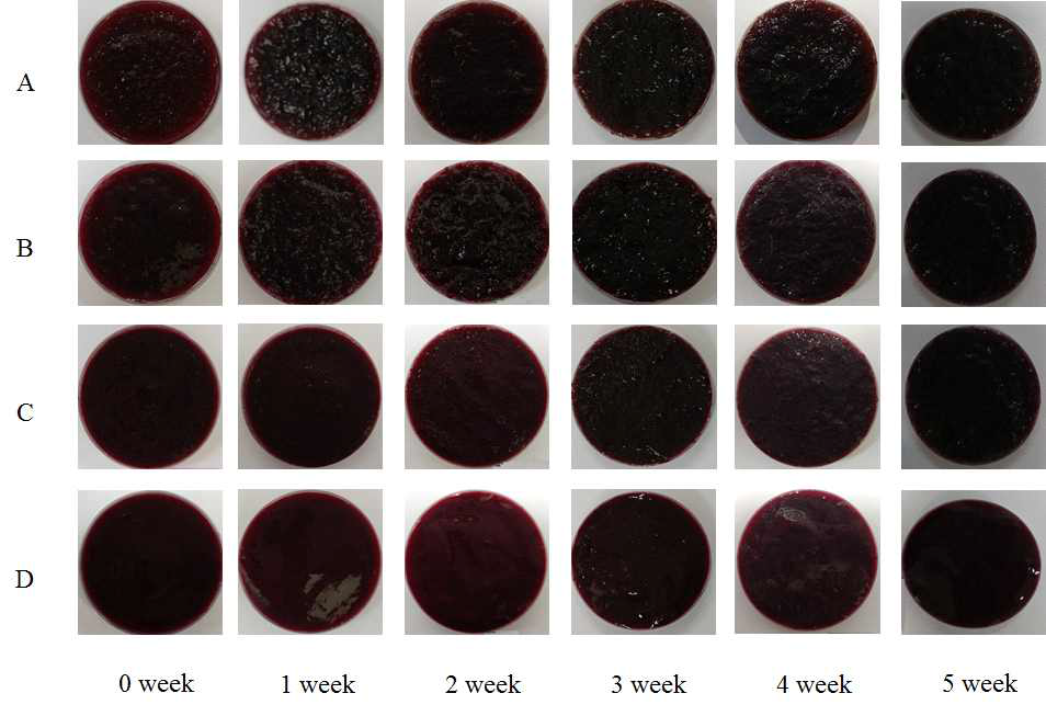 Appearances of blueberry juice and puree by heat treatment during storage for 5 weeks at 25℃. A: control blueberry juice, B: treatment blueberry juice, C: control blueberry puree, D: treatment blueberry puree