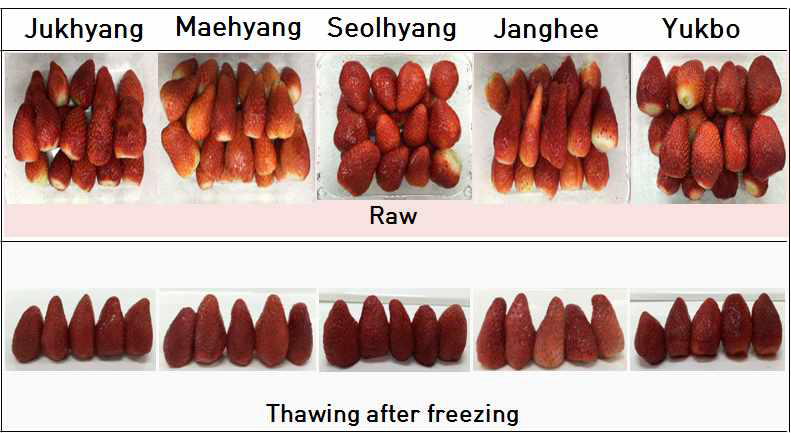 냉·해동 처리에 따른 딸기 5품종의 외관사진