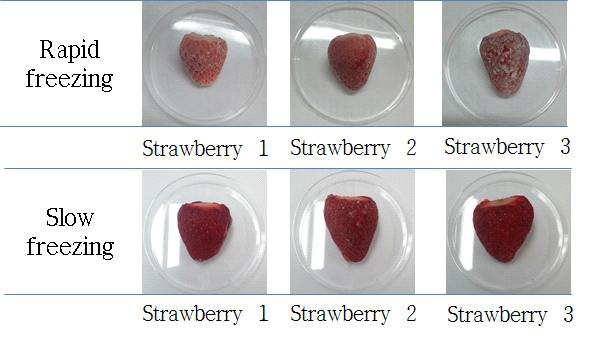 Appearances of frozen strawberries based on freezing method.