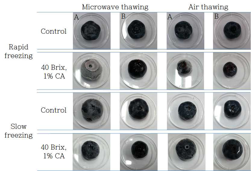 Appearances of blueberry based on treatment prior to freezing and thawing method.
