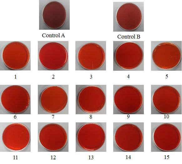 Appearnce of acidic sodium metaphosphate and Pectinex ultra SP-L treatment from strawberry concentration.