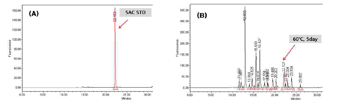 S-allyl-L-cysteine 표준품 및 숙성마늘(60℃, 5day)의 HPLC 크로마토그램