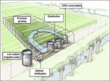 시설원예단지 양액순환 시스템(Waeningen UR)