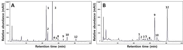 HPLC chromatograms of six isoflavone derivatives in the UFSPM (A) and FSPM (B) of soy-powder with Lactobacillus plantarum P1201.