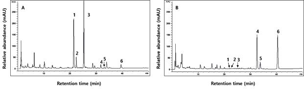 HPLC chromatogram of six isoflavone derivatives in the SPM and SPY with Lac. plantarum P1201 and Lac. brevis WCP02.
