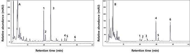 HPLC chromatogram of six isoflavone derivatives in the SPM and SPY with Lac. plantarum P1201 and Lac. brevis WCP02 by treatment of 5% kiwi juice.